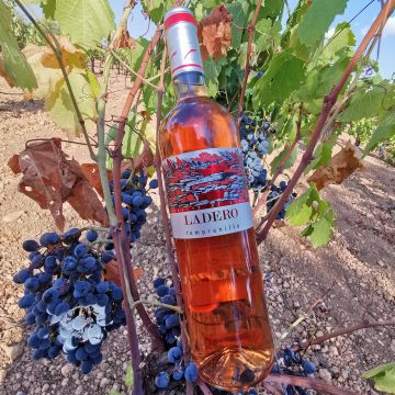 ЛАДЕРО ИТАЛИАНСКО ВИНО РОЗЕ С ЯГОДА И ЧЕРВЕНИ ПЛОДОВЕ 750 МЛ