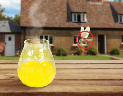 ЦИТРОНЕЛА СВЕЩ ПРОТИВ КОМАРИ И ОСИ 170 ГР